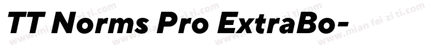 TT Norms Pro ExtraBo字体转换